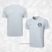 Camiseta de Entrenamiento Palmeiras 2023-2024 Gris